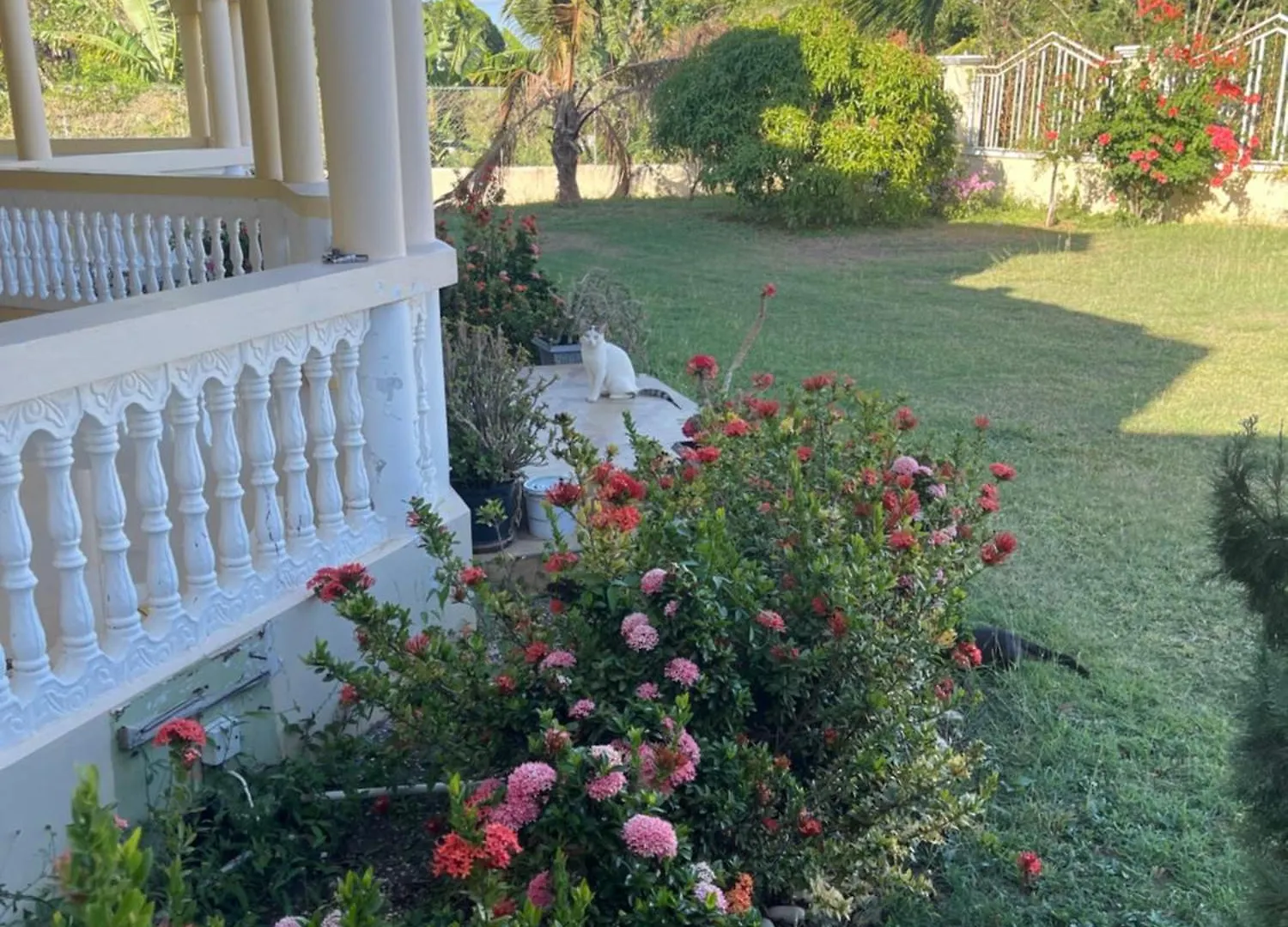 Auglo Villa Black River Jamaica